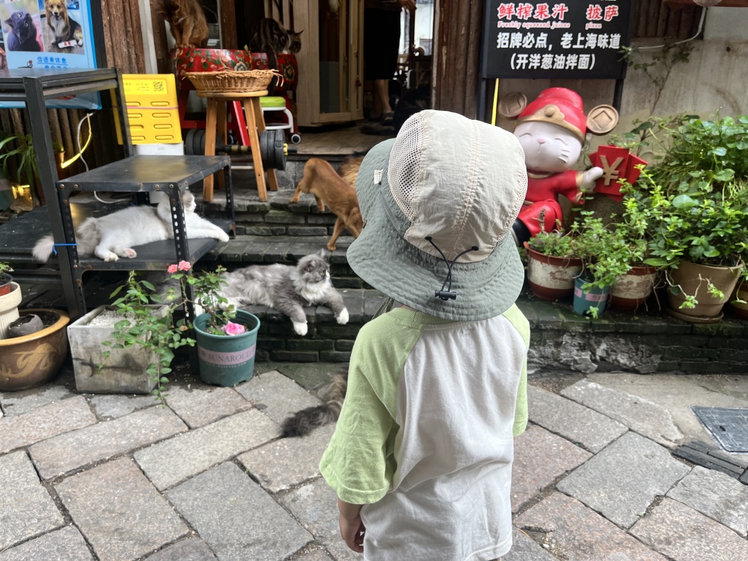 nice view in Zhujiajiao ^ ^