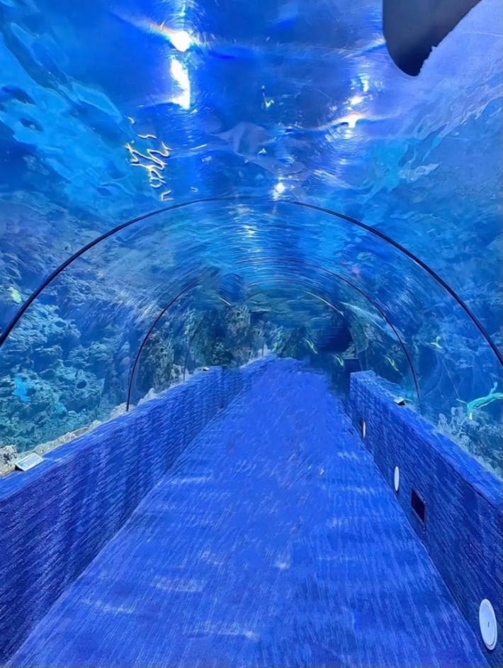 Qingdao Marine Science Museum
