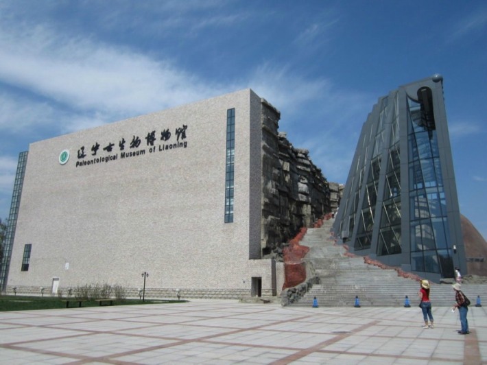 Paleontological Museum of Liaoning