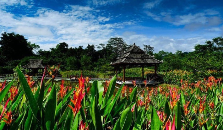 Xishuangbanna Tropical Botanical Garden, Chinese Academy of Sciences
