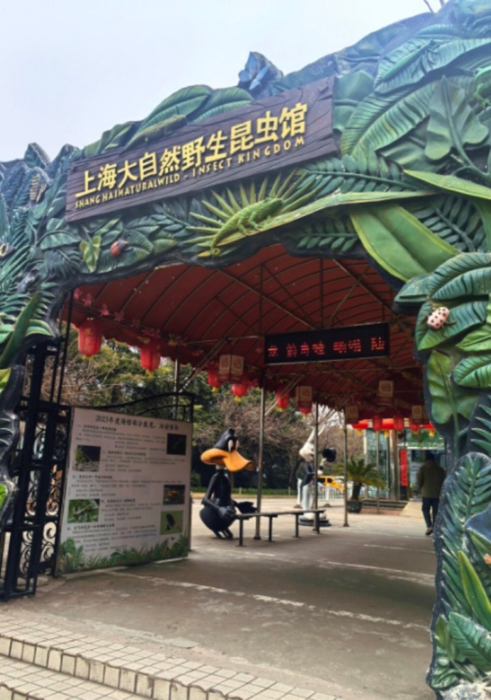 Shanghai Natural Wild Insect Kingdom