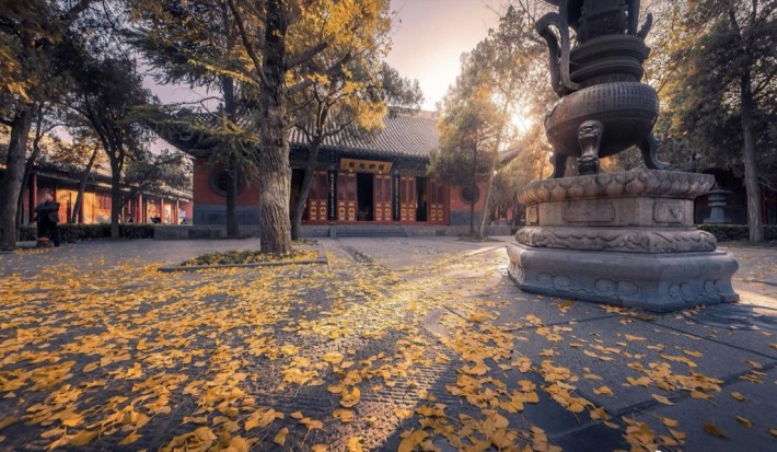 Luoyang Sui and Tang Dynasty Grand Canal Museum