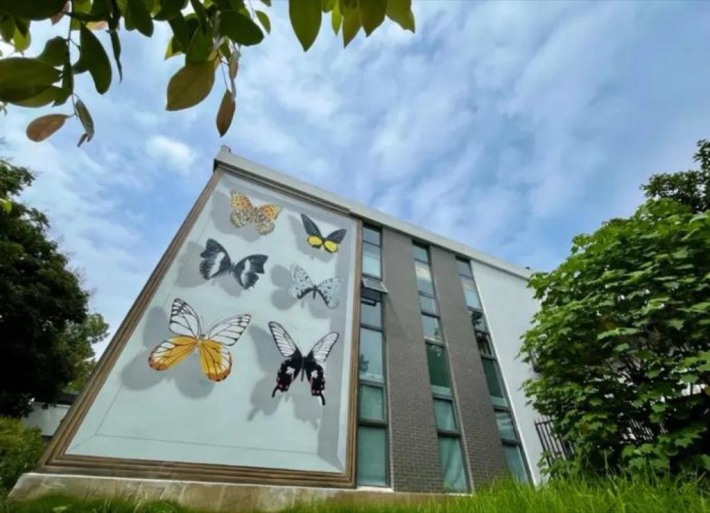 Shuangliu Chasing Butterflies Butterfly Museum