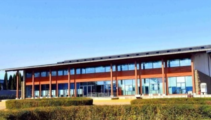 Luoyang Cellar Museum