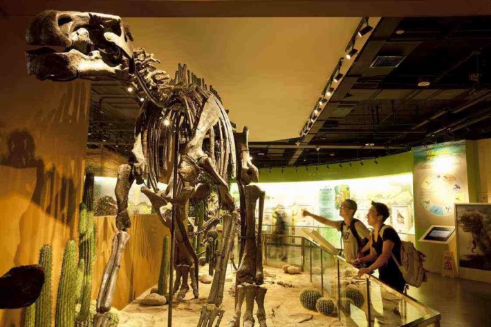 Dalian Xinghai Paleontological Fossil Museum