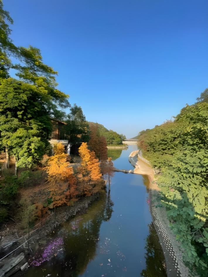 Maofengshan Forest Park