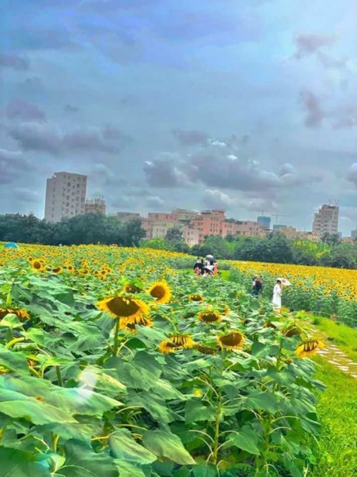 Xinhu Street National Defense Education Theme Park
