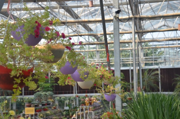 Renran Heyi Modern Agriculture Ecological Garden