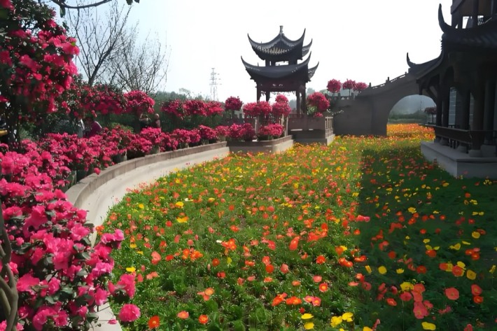 Chengdu Flower Dance World Tourist Attraction