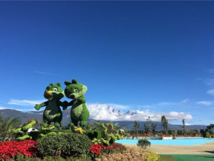 The Snow Capped Mountains Rose Manor