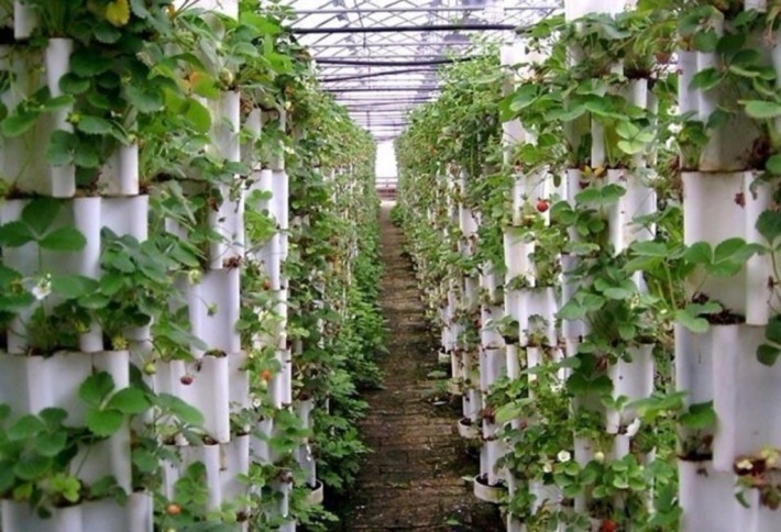 Yantai Agricultural Science and Technology Expo Park