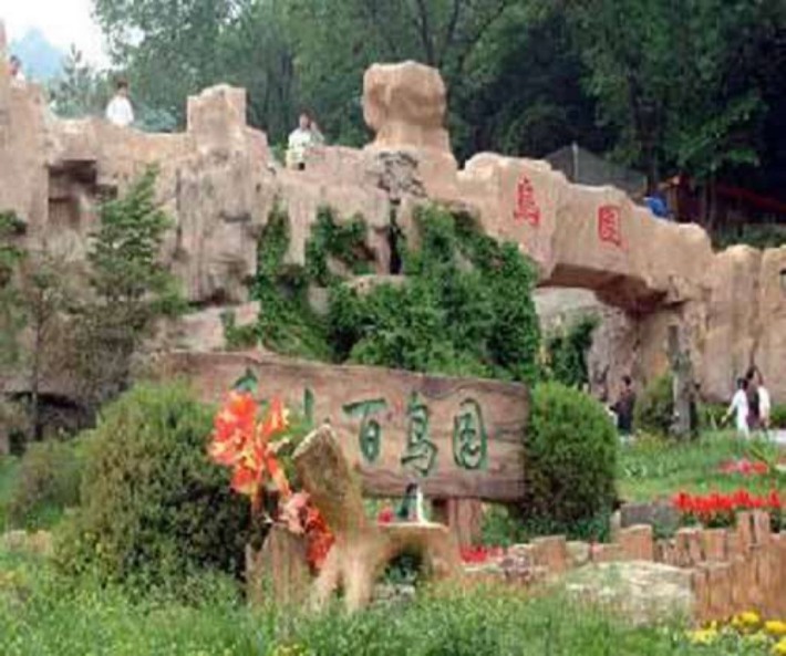 Ornithologic zoo