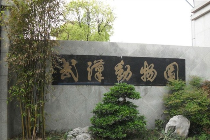 Wuhan zoo