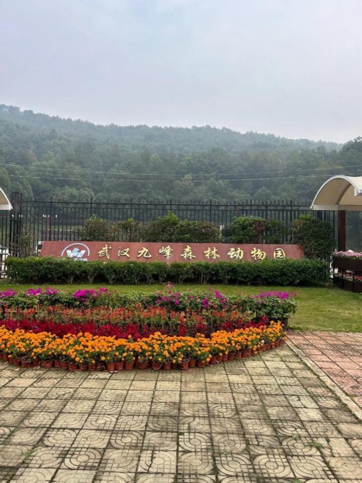 Wuhan Jiufeng Forest Zoo