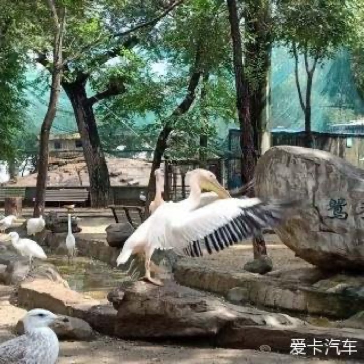 Harbin Zoo