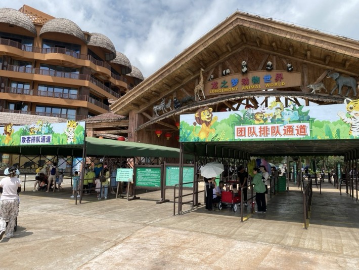 Dragon Dream Animal World