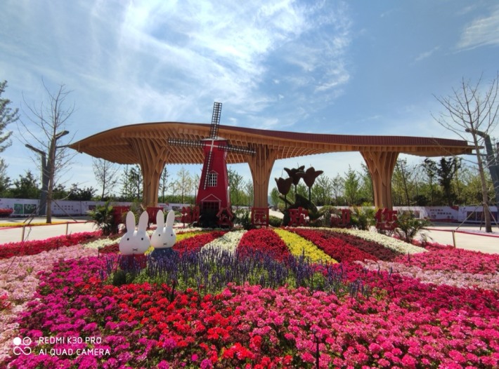 Jinyang Lake