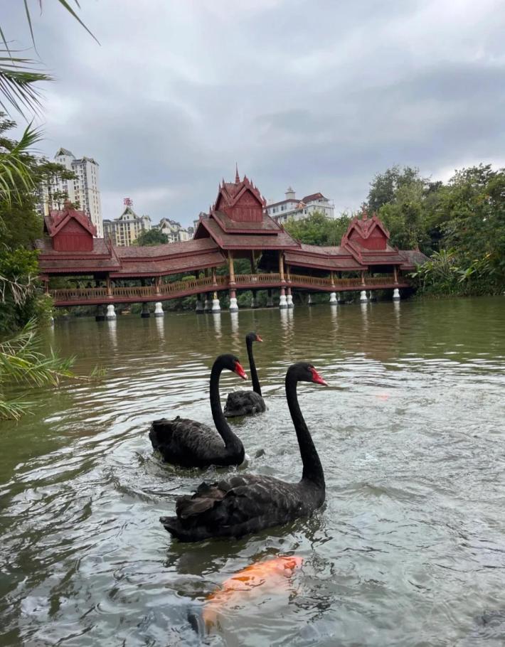 Manting Park