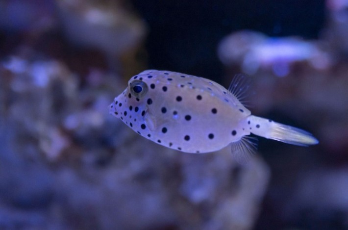 Wuxi Oceanarium