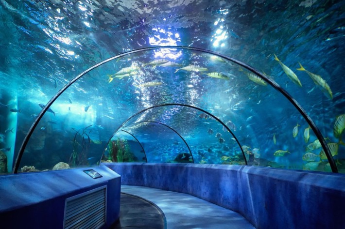 Nanjing Andover Under Water World