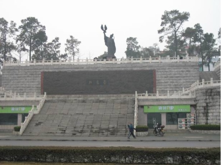 Eagle Flying Platform