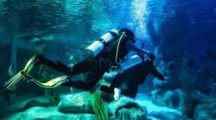 Lanzhou Polar Ocean World