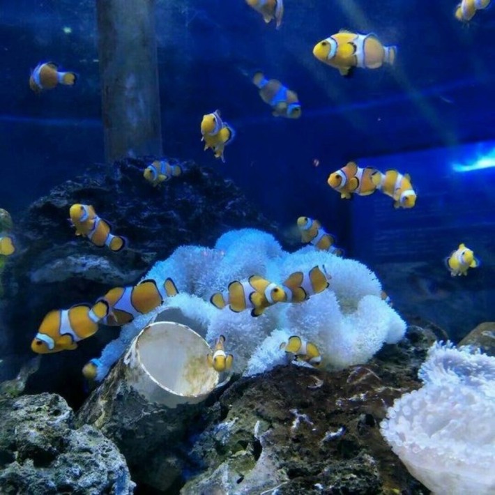 Blue Zoo Beijing 4
