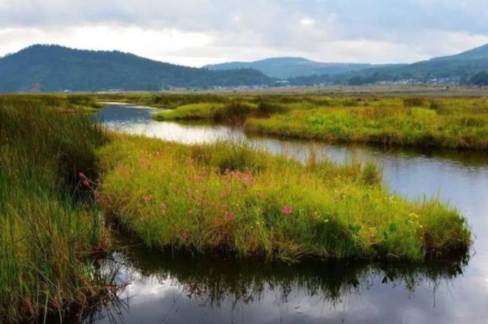 grass island