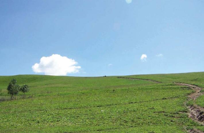 Sky Grassland Scenic Area