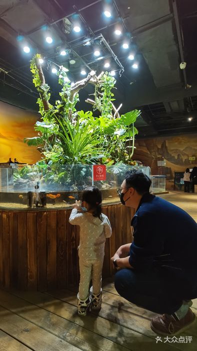 BOBOZOO Indoor Zoo