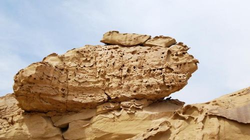 Panjil Strange Rock Forest Scenic Area