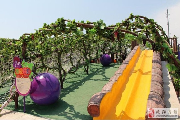 Grape paradise