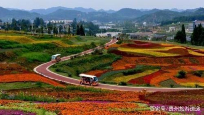 Wudang Yangchang Huahua Town