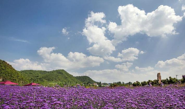 Penglai Immortal Realm · White Cloud Leisure Agriculture Tourism