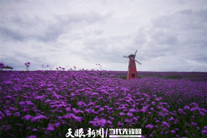 Hua Xi District, Shimen, Beautiful Countryside