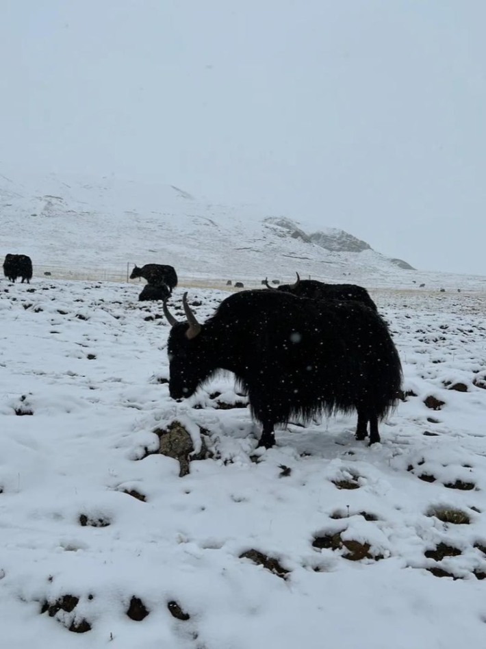 Gand County Snow Mountain