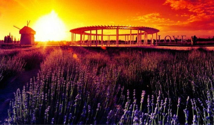 Han Princess Lavender Garden