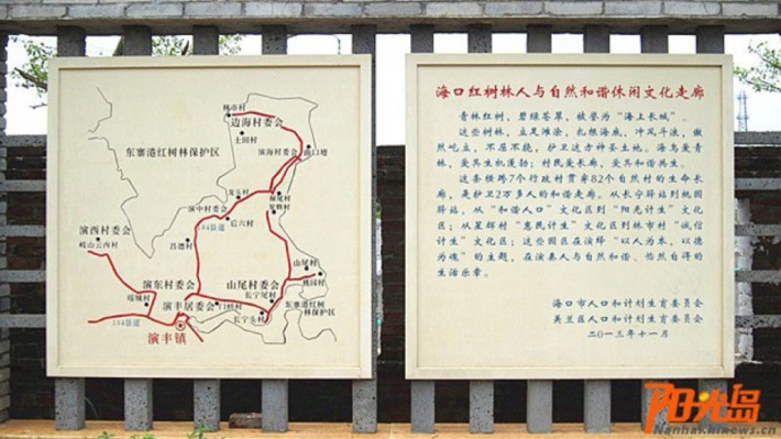 Haikou Dongzhai Port Mangrove Tourism Area