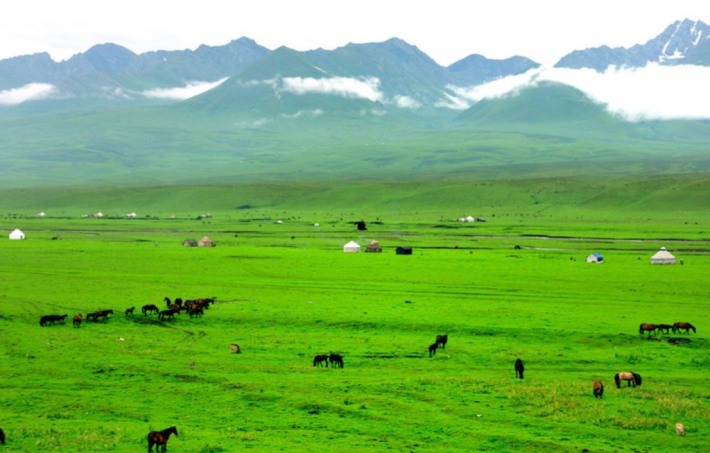 Gong Naisi Scenic Area