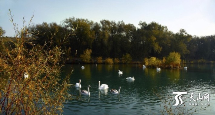 Swan Spring Scenic Area