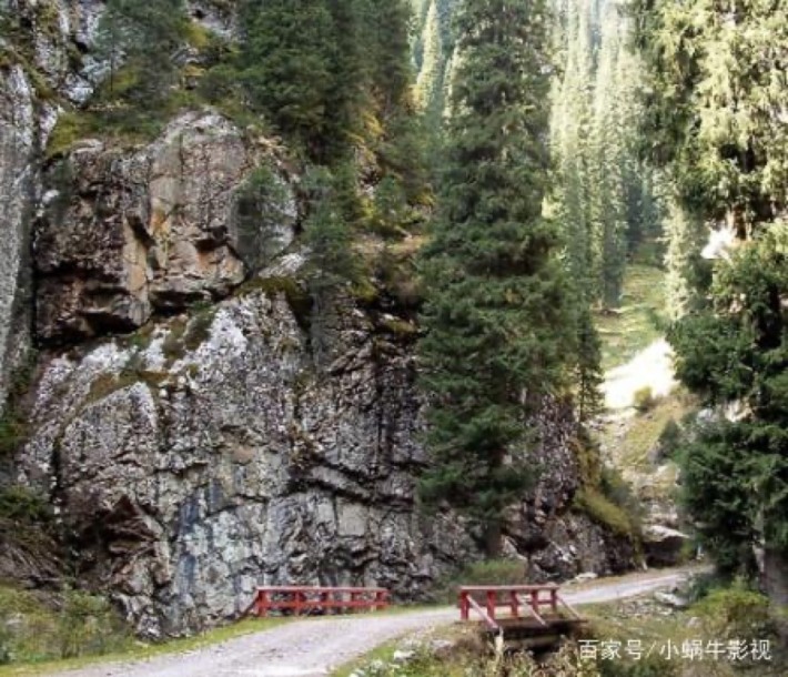Bai Shi Feng Forest Park