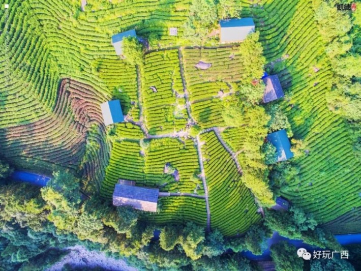 Guangxi Bago Rural Landscape