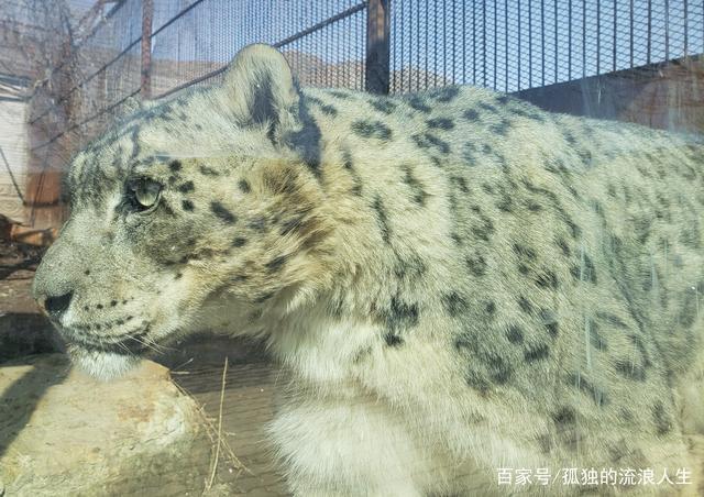 Urumqi Tianshan Wildlife Park