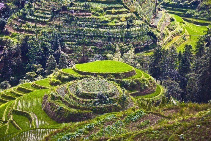 Longji Terraces