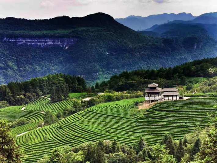 Wulong Baima Mountain Tianchi Qingyuan (Romance) Tourism Area