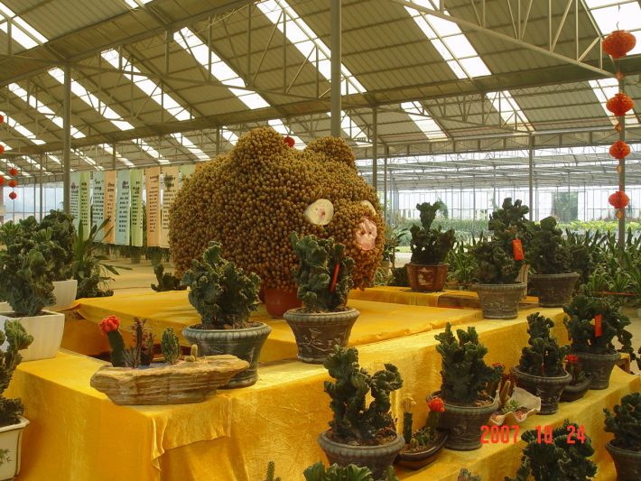 Flower World