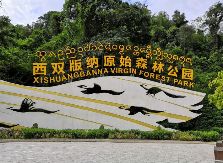 Xishuangbanna Primitive Forest Park