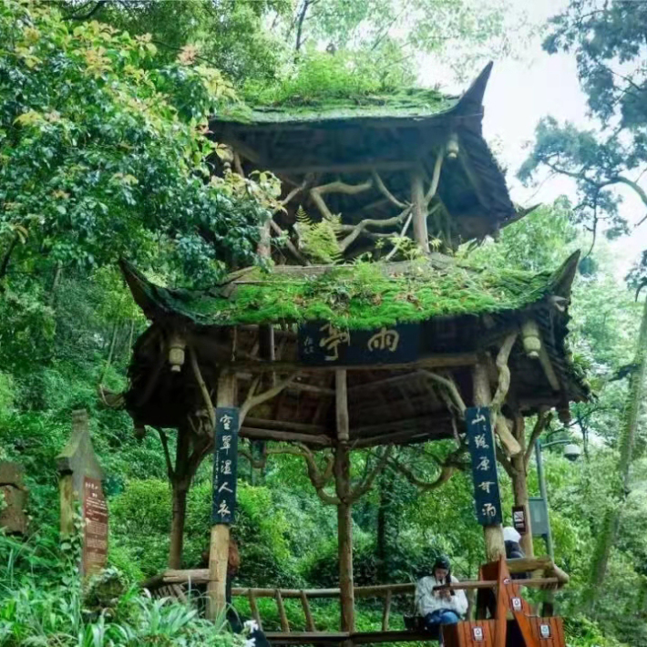 Mount Qingcheng (back mountain)