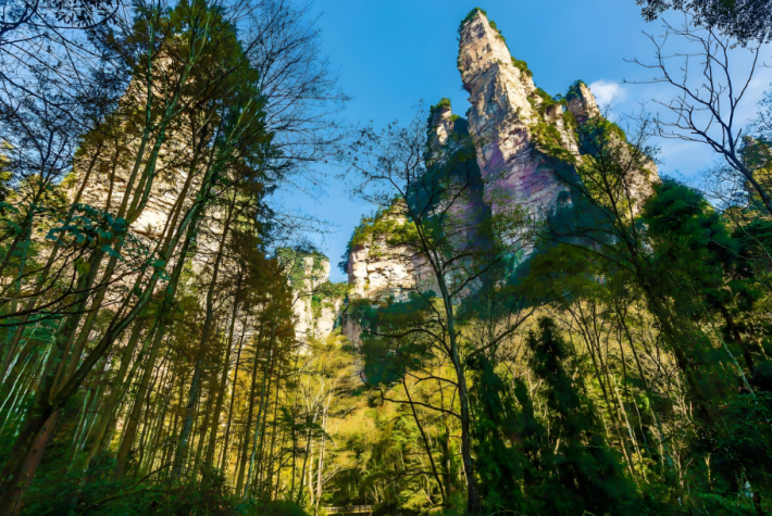 Zhangjiajie Grand Canyon Scenic Area 2
