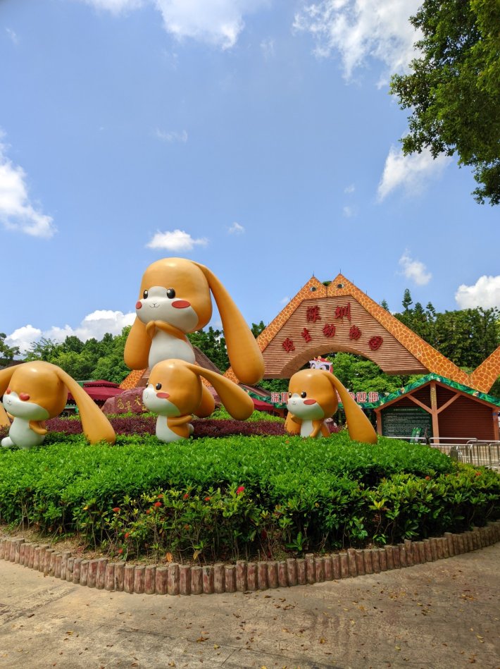 Shenzhen safari park